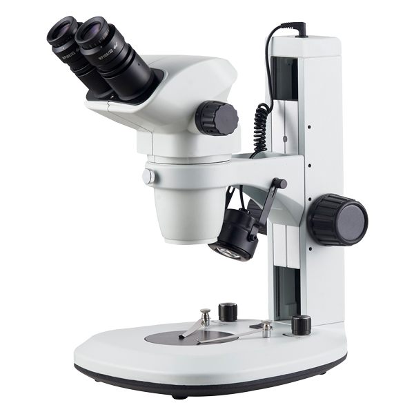 STÉRÉOMICROSCOPE SUPÉRIEUR, L100 – Image 2